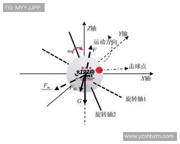 深圳乒乓球队整体压制的深度分析与战术解读