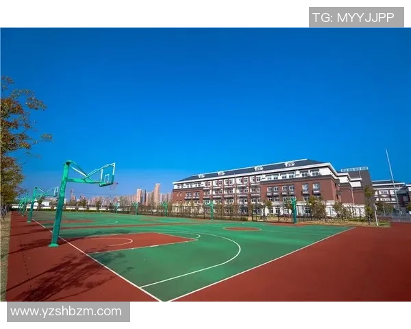 上海篮球场的魅力与热情探秘体验城市篮球文化的独特风采