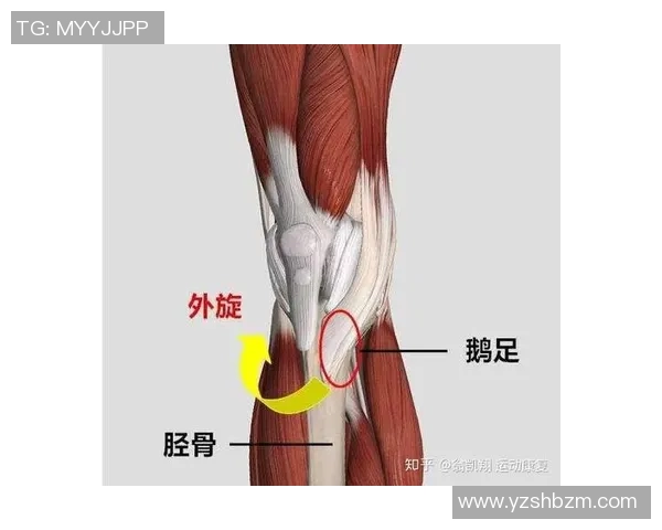 打篮球时膝盖疼痛的原因及缓解方法探讨 打篮球时膝盖疼痛的原因及缓解方法探讨